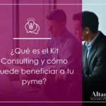 Ayudas del Kit Consulting